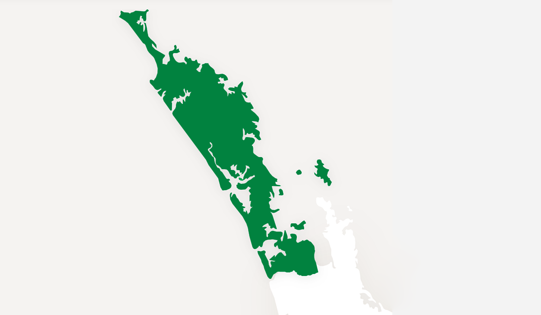 A simple white map graphic of the top third of the North Island set against a grey background, the areas of Auckland and Northland are coloured green to display the Foundation North funding boundaries. 