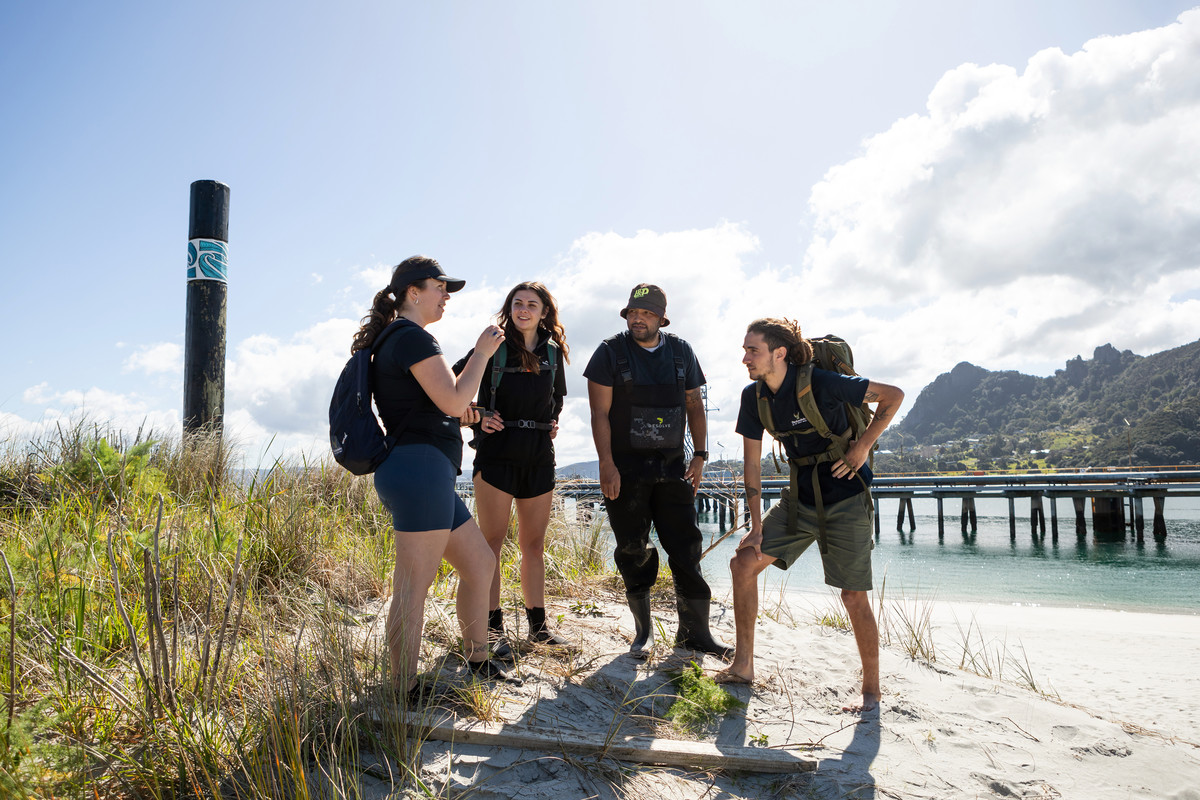 Patuharakeke Te Iwi Trust