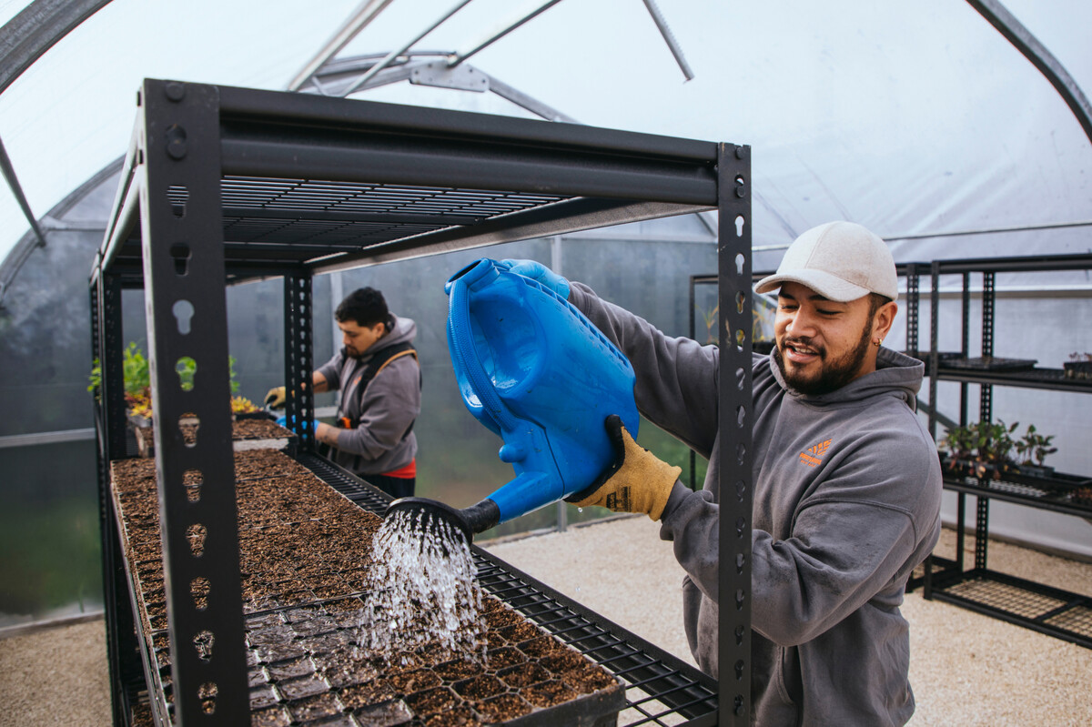 Papatūānuku Kōkiri Marae