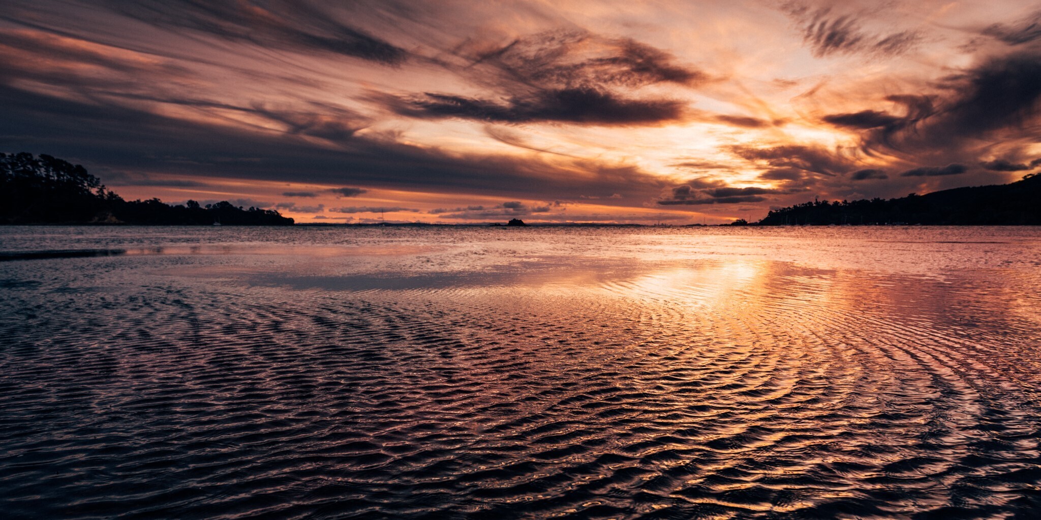 Foundation North Submission to Ministry of Primary Industries Manatū Ahu Matua