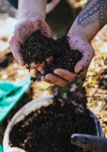 Food Sovereignty and Equitable Food Systems