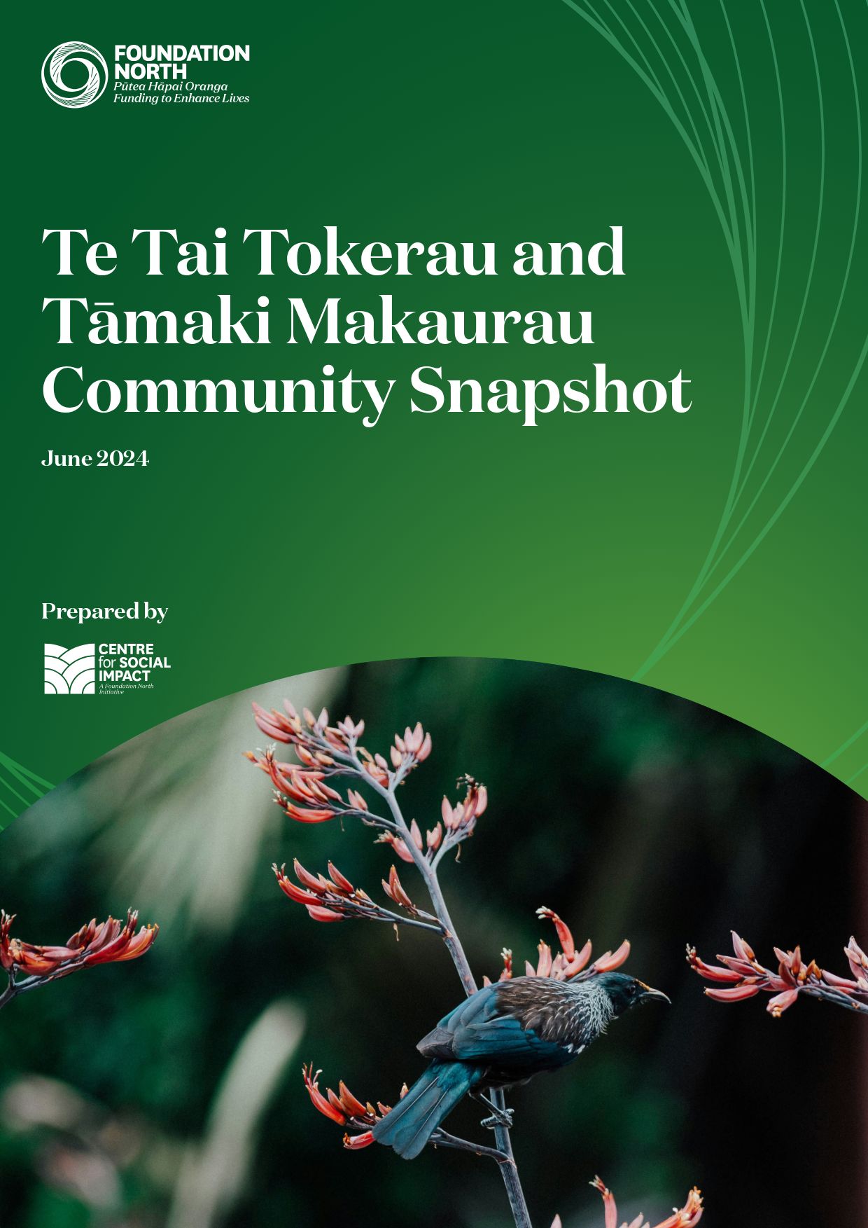 Te Tai Tokerau and Tāmaki Makaurau Community Snapshot