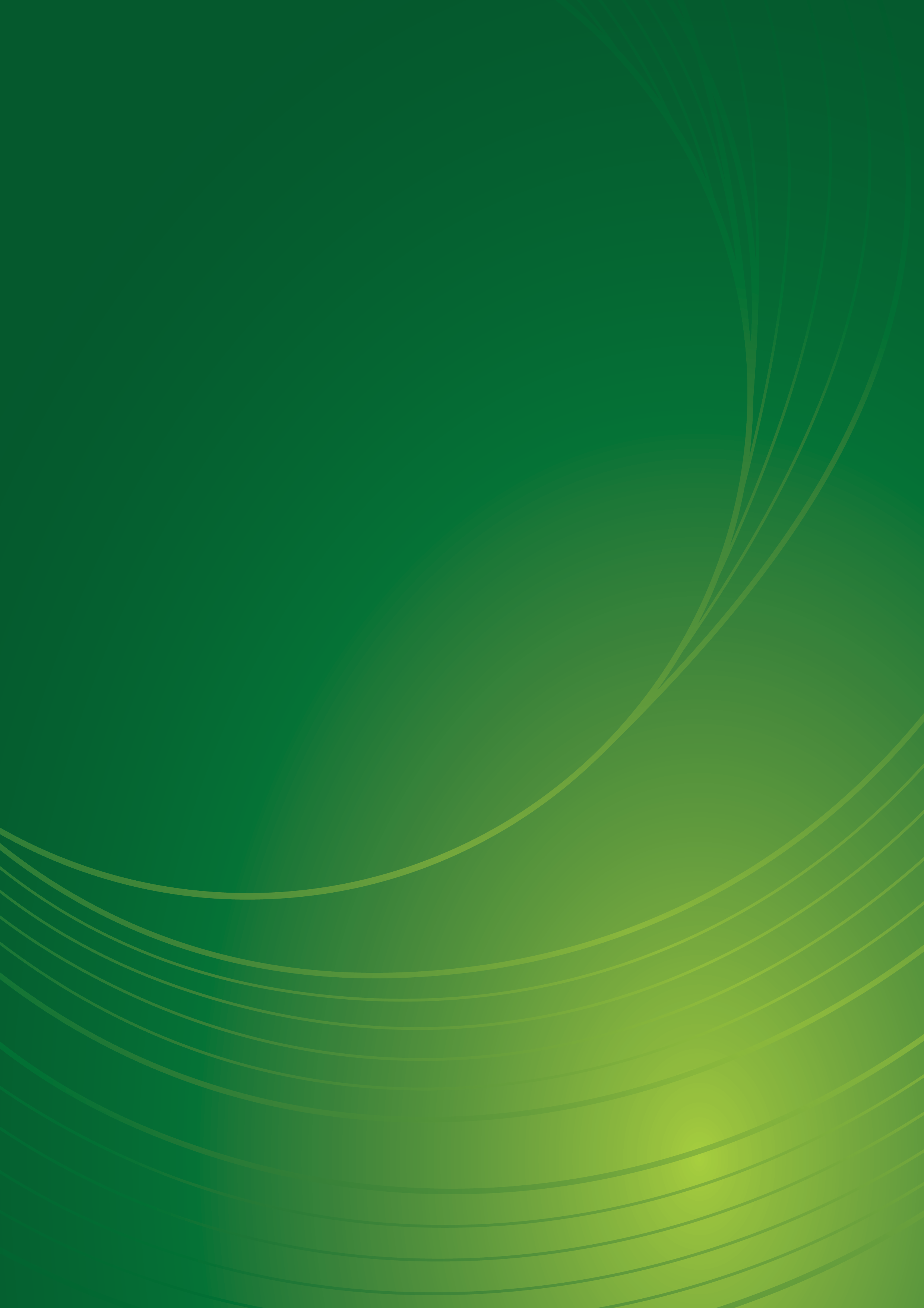 Foundation North submission on the Principles of the Treaty of Waitangi Bill