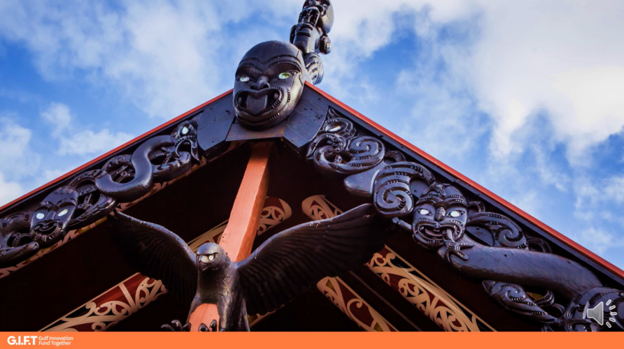 System Change in the Hauraki Gulf – GIFT Insights