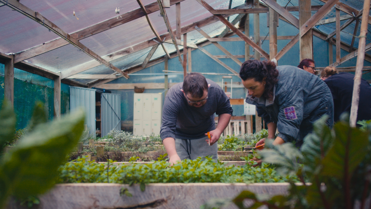 Taimahi Trust: systems change through micro enterprises