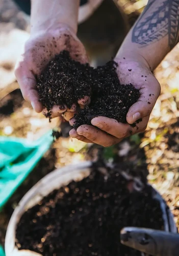 Food Sovereignty and Equitable Food Systems