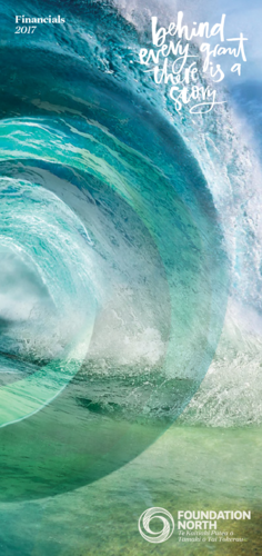 2017 Summary Financials