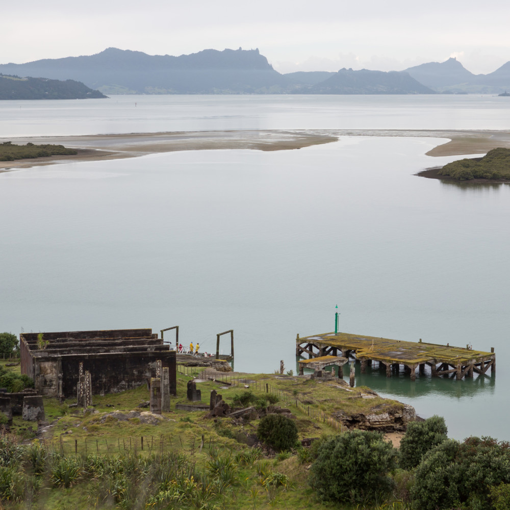 Regenerative Environment