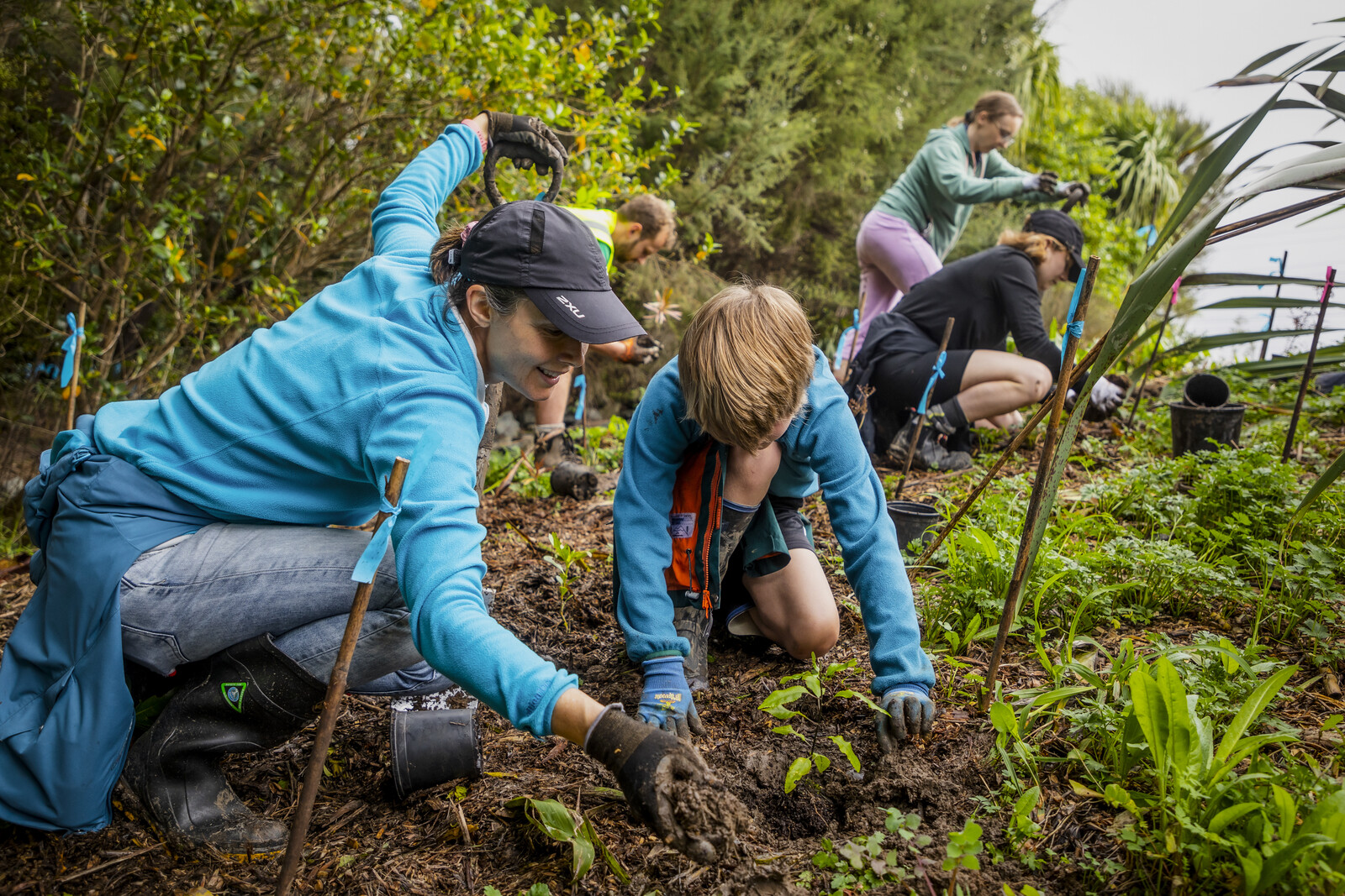 A woman and young boy are crouched outdoors in the bush smiling and planting a small sapling in the dirt, behind them is a diverse group of individuals planting saplings. 