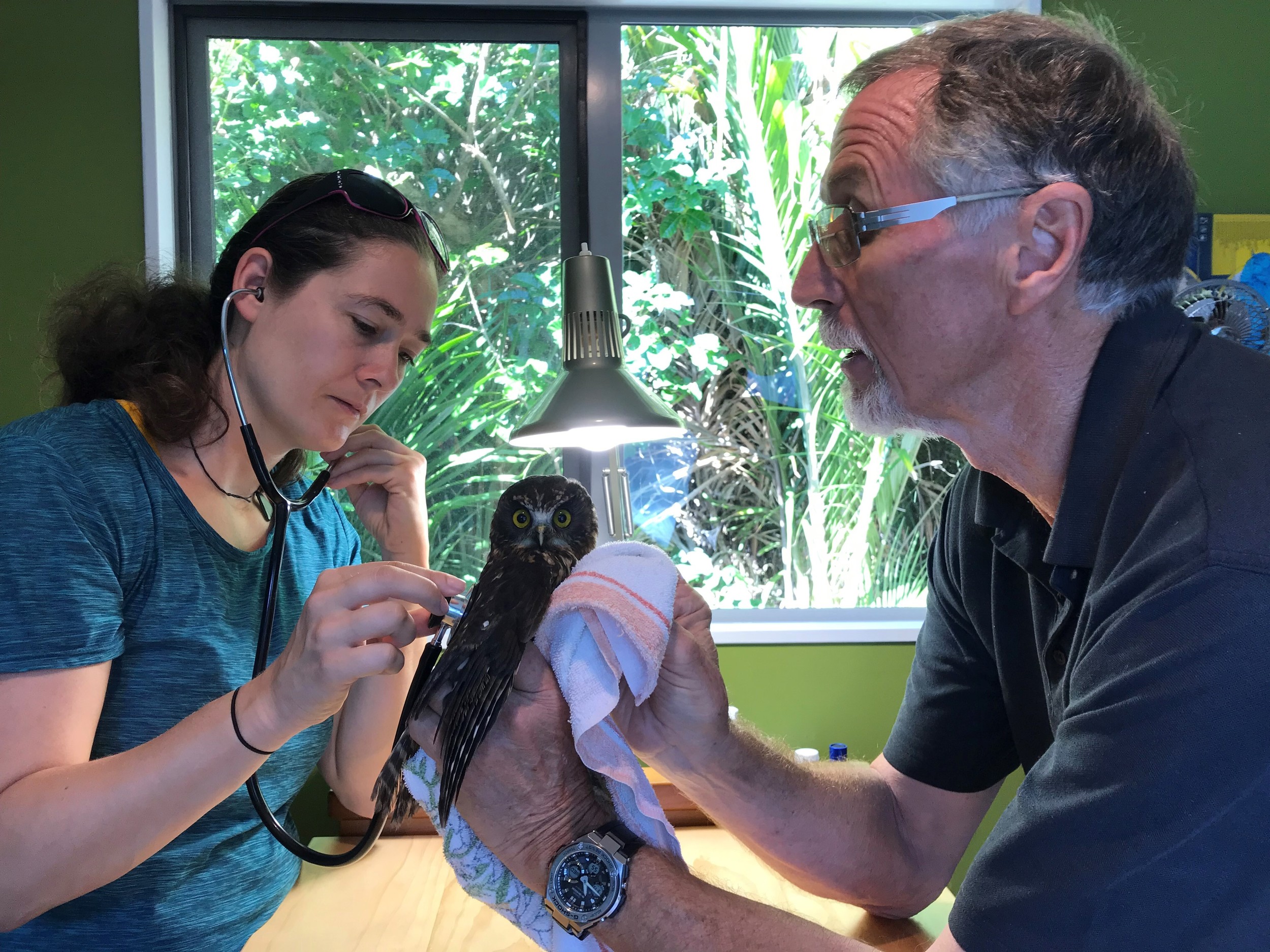 Enhancing lives seen through grants across focus areas at Foundation