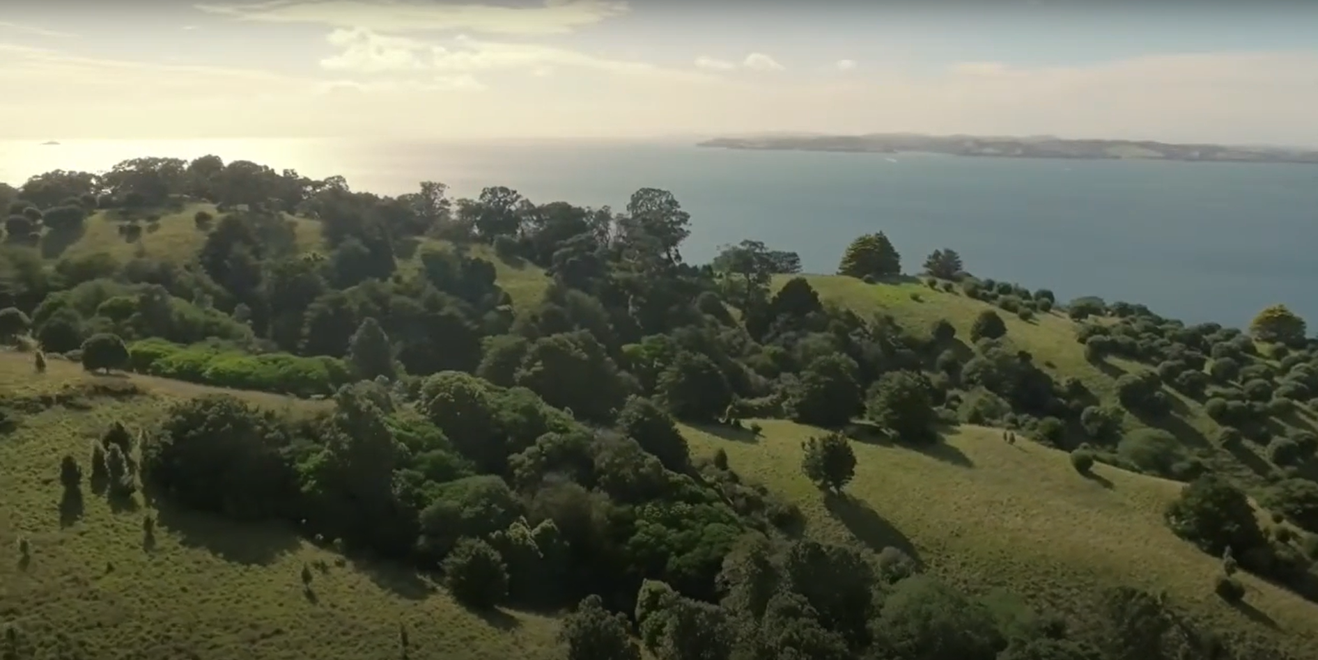 Motutapu Restoration Trust