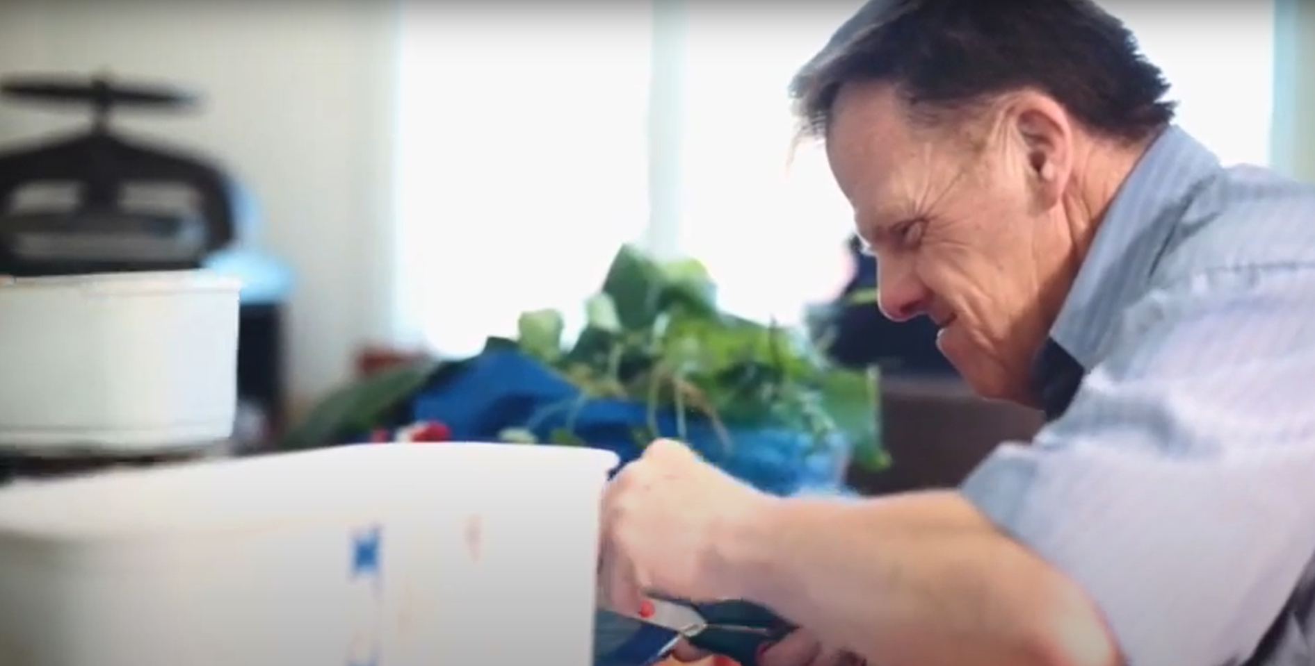 The Blue Goose Papermill Charitable Trust