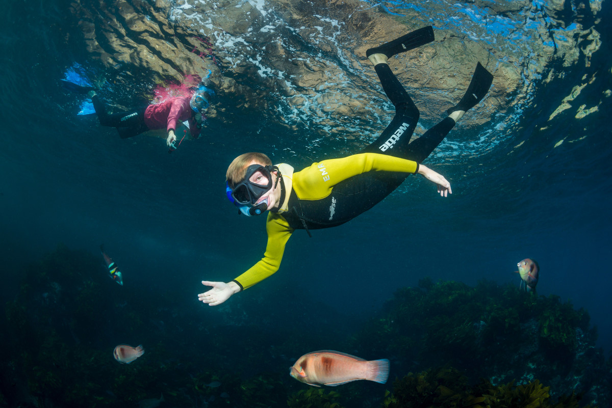 Experiencing Marine Reserves